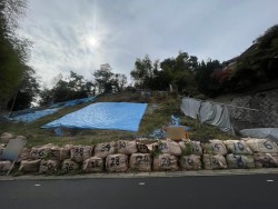 【桃山東エリア】3駅3路線利用可能◎最寄駅徒歩10分！緑豊かな閑静な住宅地です♪
◎お好きなハウスメーカー・工務店にて建築できます◎