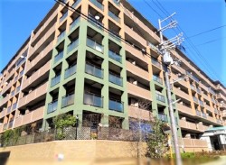 【桃山エリア】京阪・近鉄の2WAYアクセス利用可能◎
LDK15.5帖でゆっくりお過ごしいただけます★