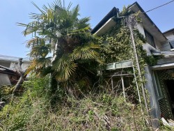 リビングコメント１ 人気の芦屋エリア！！広々とした9DK！！スーパー・コンビニ
・薬局が徒歩圏内の生活便利地◎3WAYアクセス利用可能◎