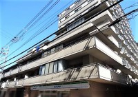 【伏見板橋エリア】リフォーム済の美室◆全室に窓有★陽当り良好